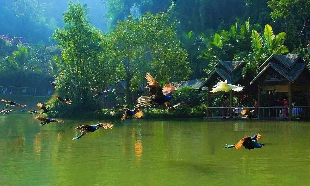 新野恭简王朱芝城:为祖母争名分,和叔父争家产,只因老爹是庶子